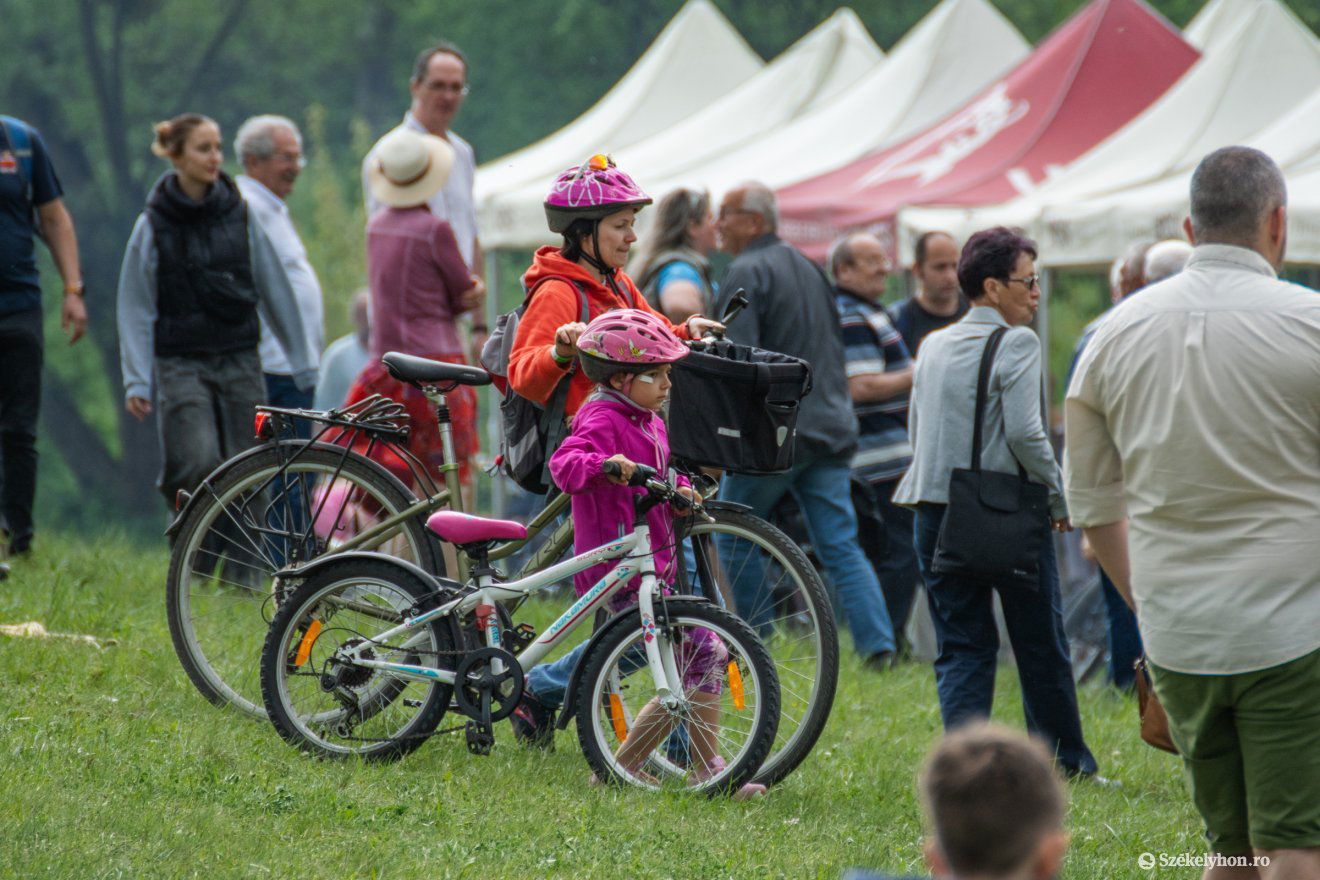 •  Fotó: László Ildikó