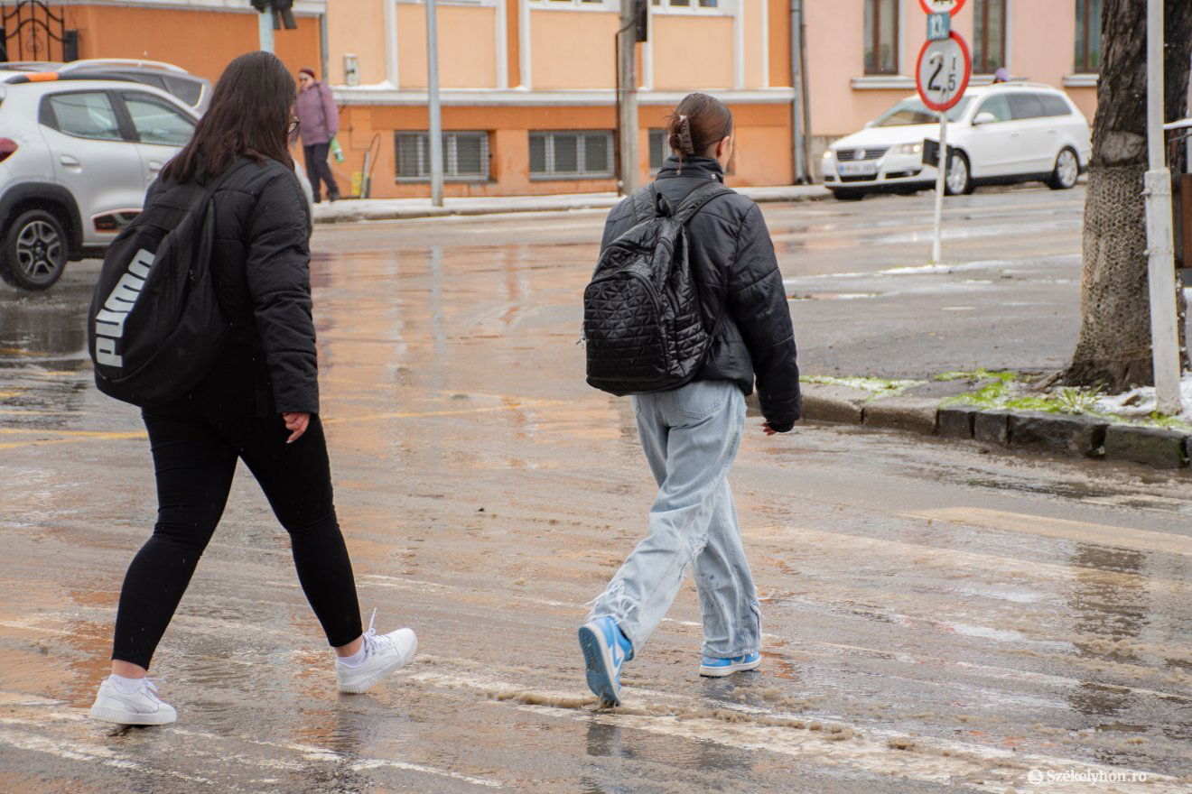 Képünk illusztráció &bullet;  Fotó: László Ildikó