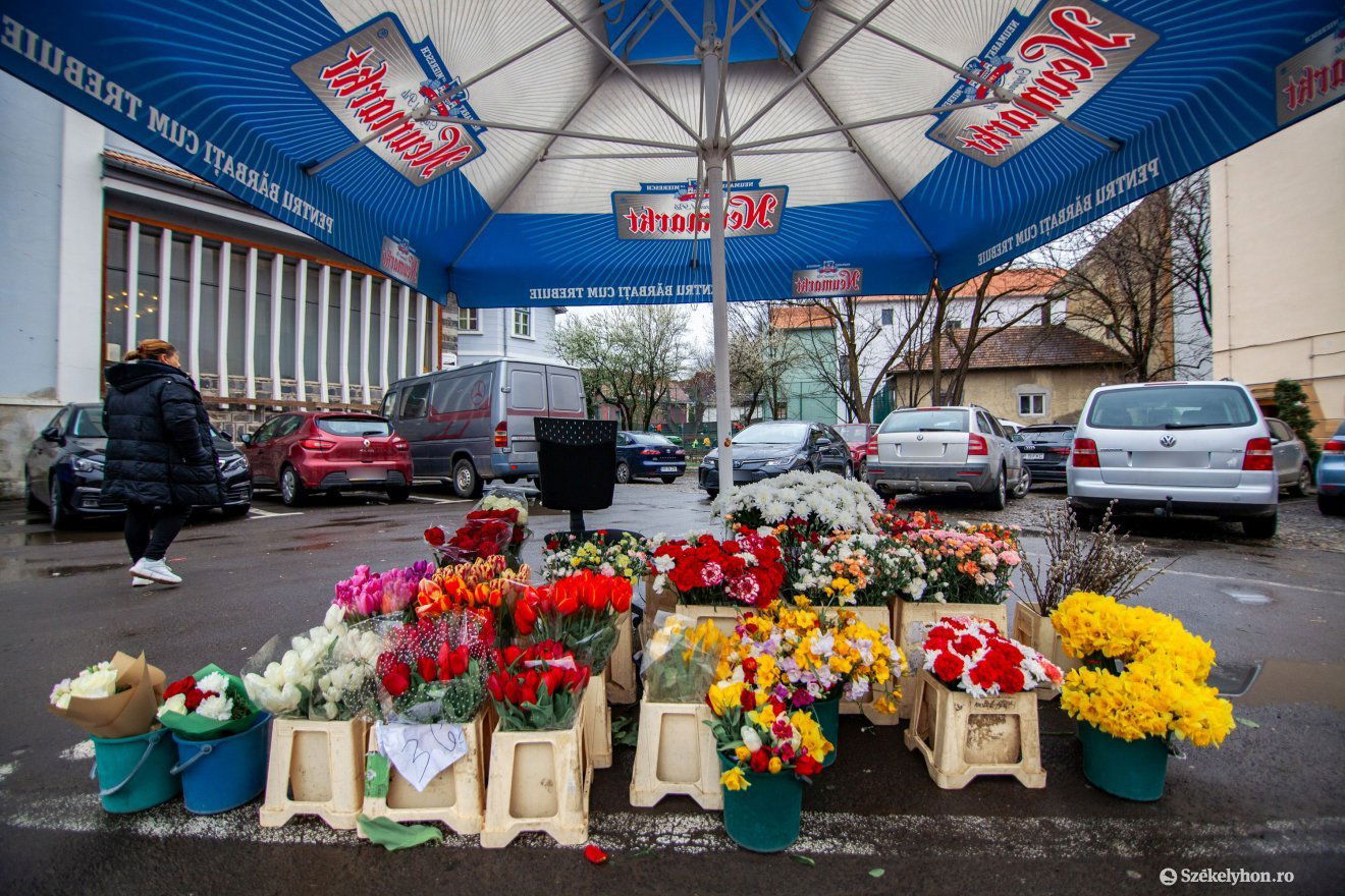Szezonális növényekből nincs hiány a virágárusoknál •  Fotó: Csató Andrea