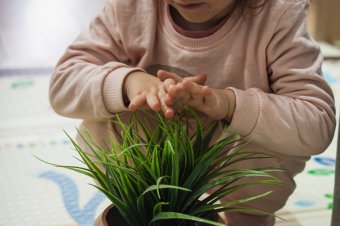 Mit tegyünk, ha a gyermek mérgező növényt evett? Szakértő válaszol