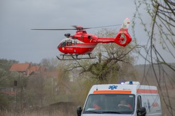 Két ember is úgy sérült meg súlyosan, hogy maga után húzta az elszabadult ló