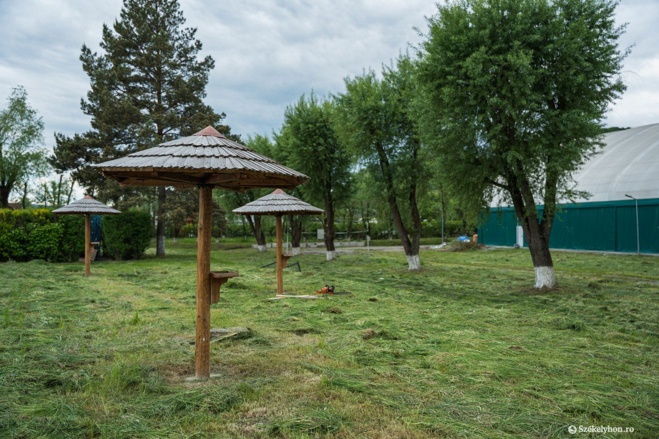 •  Fotó: Csató Andrea