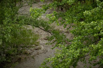 Árvízveszély miatt küldött Ro-Alertet a katasztrófavédelem