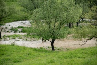 Zivatarokra figyelmeztető riasztást, árvízvédelmi készültséget rendeltek el