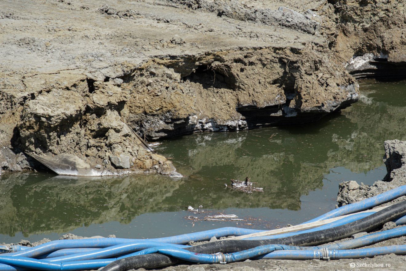 • Fotó: László Ildikó