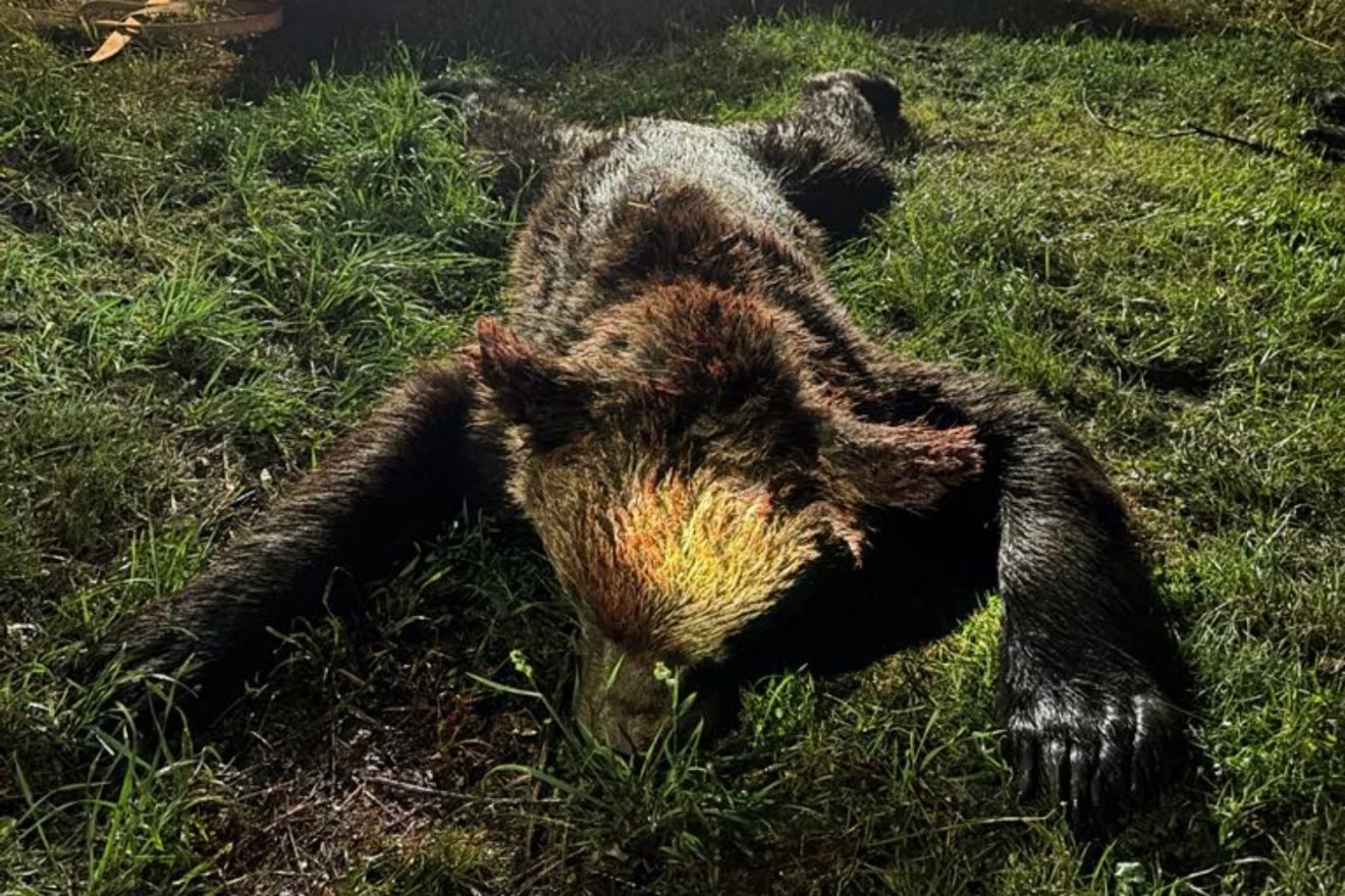 •  Fotó: Bögöz Község Polgármesteri Hivatala