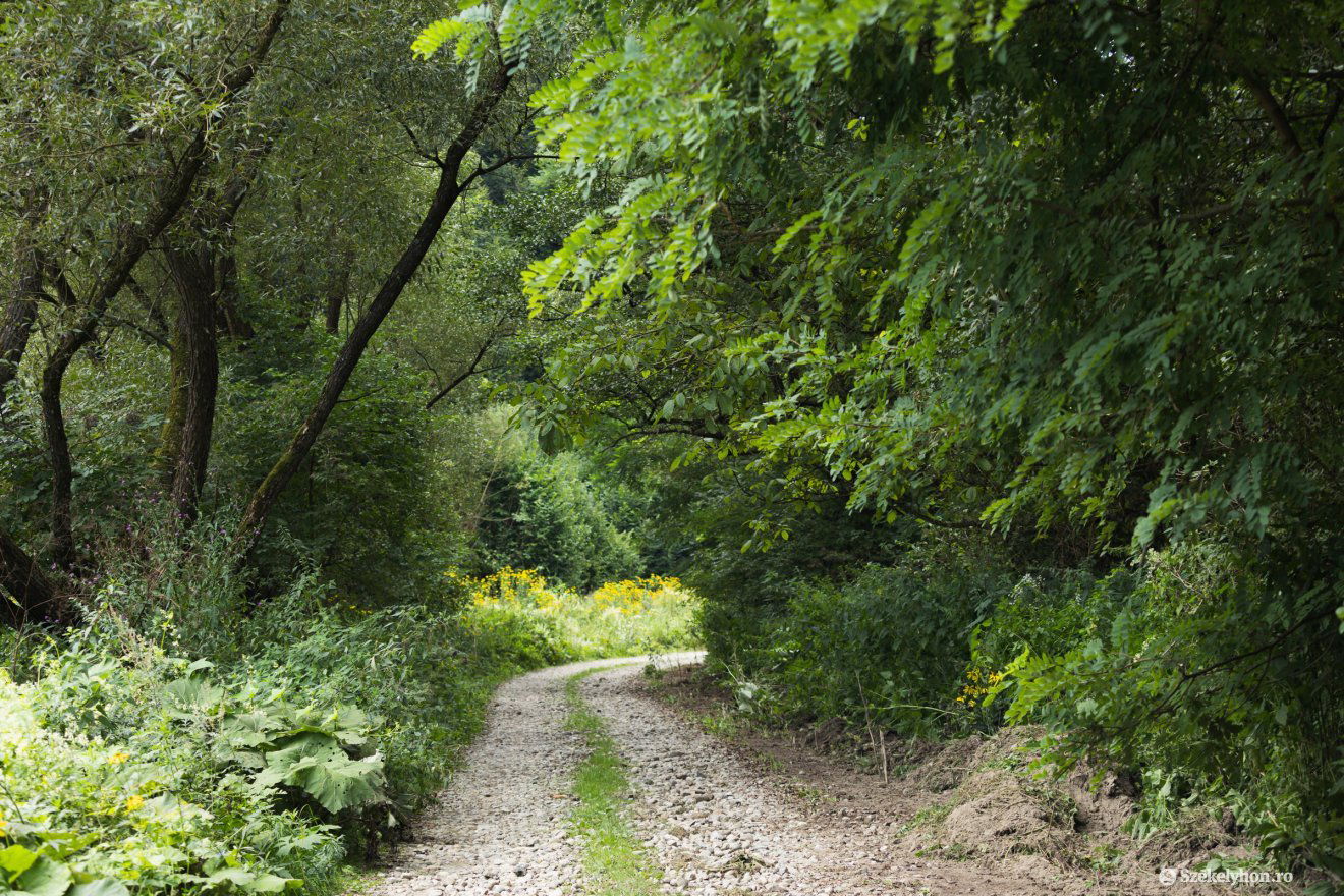 •  Fotó: Csató Andrea