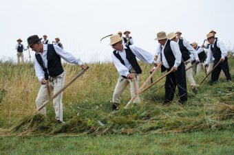 Pirkadatkor indult a közös kaszálás Nyikómalomfalván