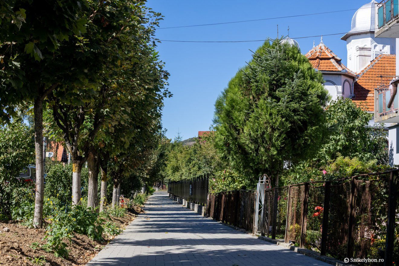 •  Fotó: Csató Andrea