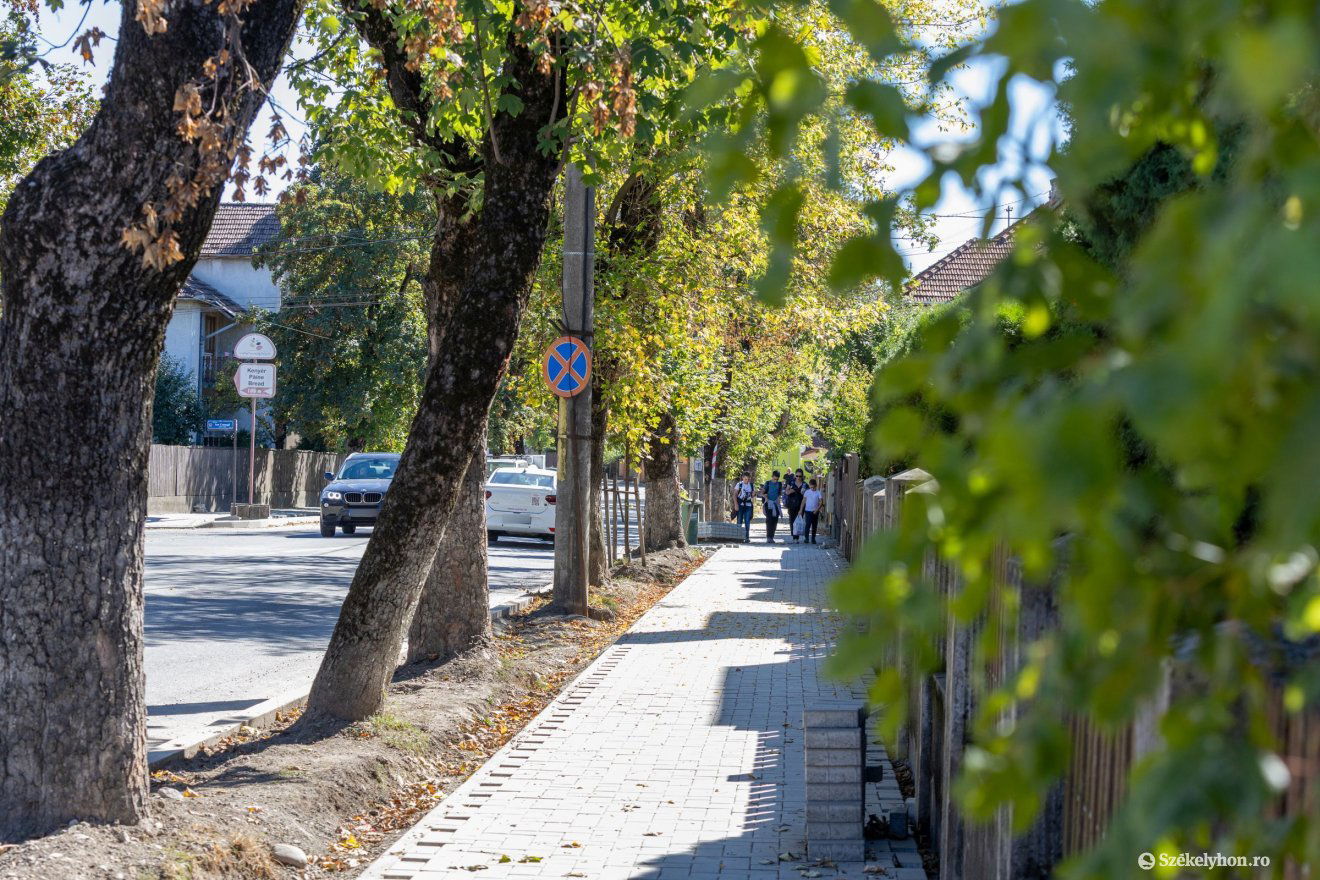 •  Fotó: Csató Andrea