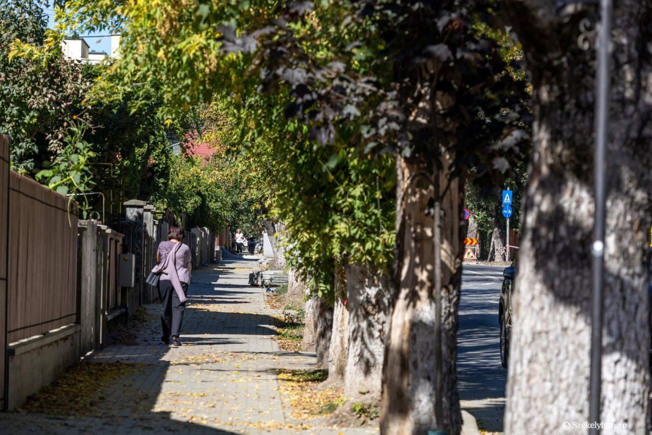 •  Fotó: Csató Andrea