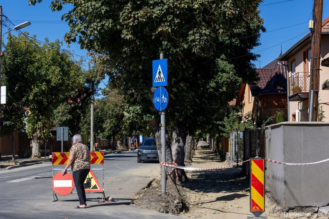 •  Fotó: Csató Andrea