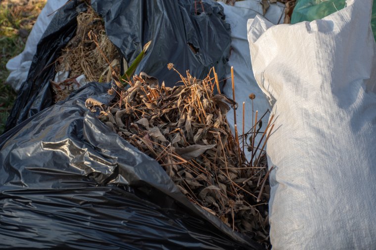 Zöldhulladék-gyűjtés Gyergyószentmiklóson