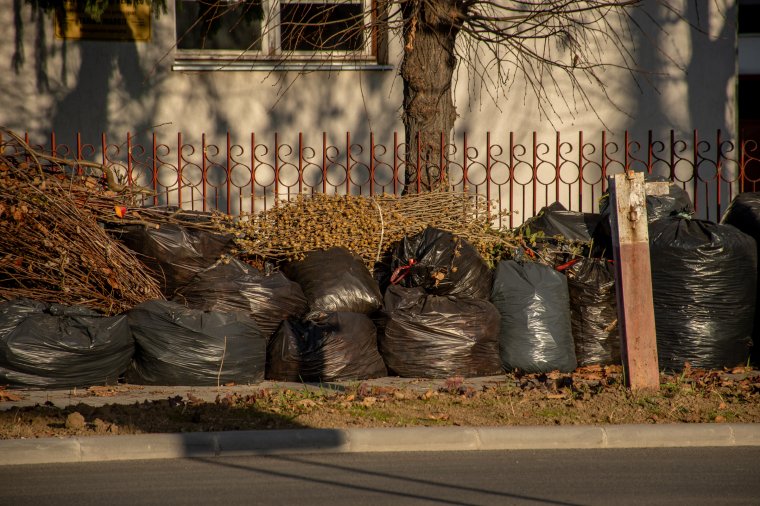 Hozzálátnak a tavaszi lombtalanításhoz, gyűjtik a zöldhulladékot Székelyudvarhelyen