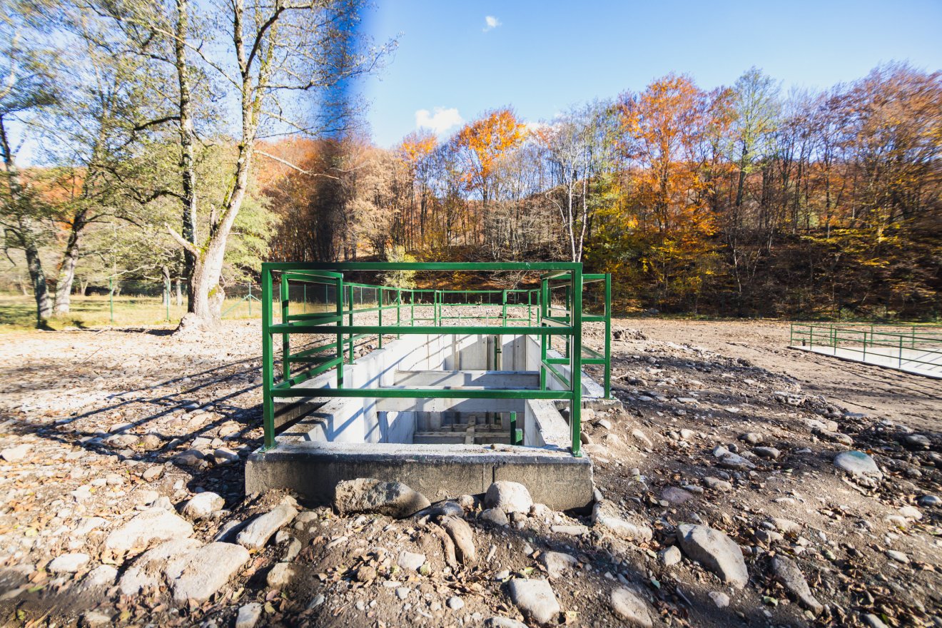 •  Fotó: Csató Andrea