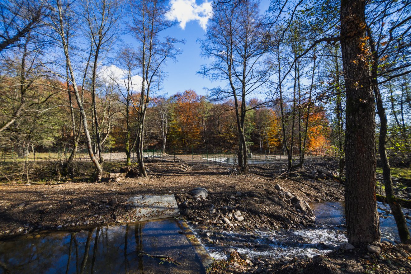 •  Fotó: Csató Andrea