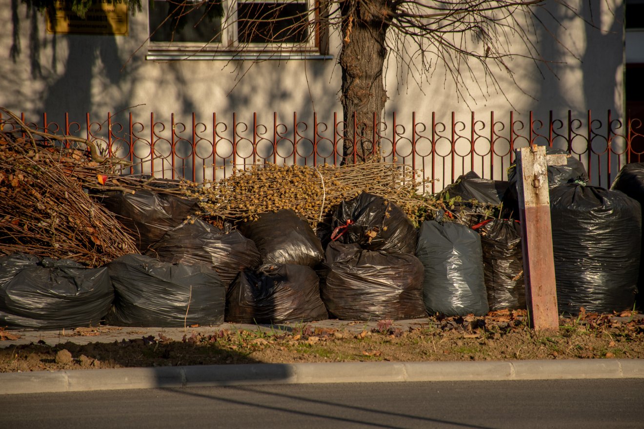 &bullet;  Fotó: László Ildikó