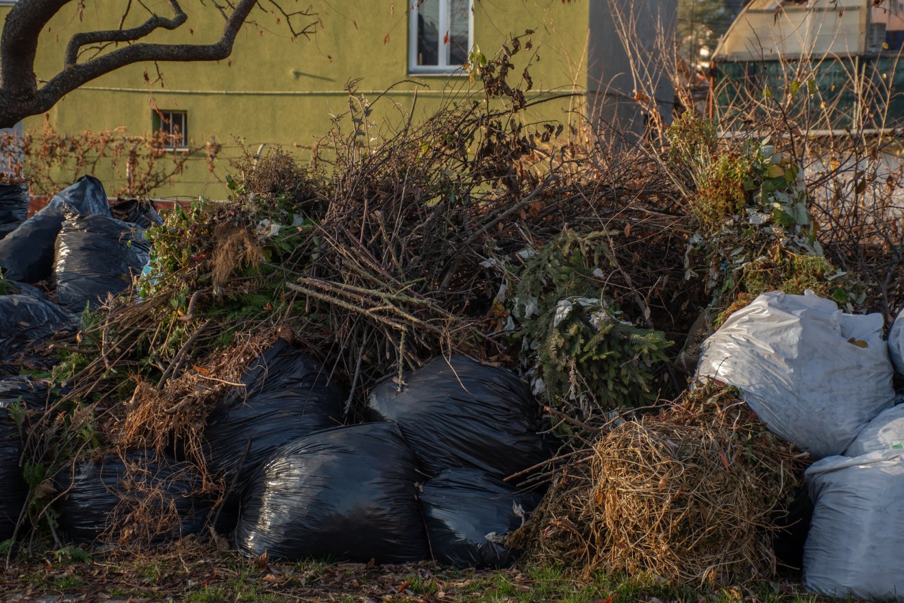 • Fotó: László Ildikó