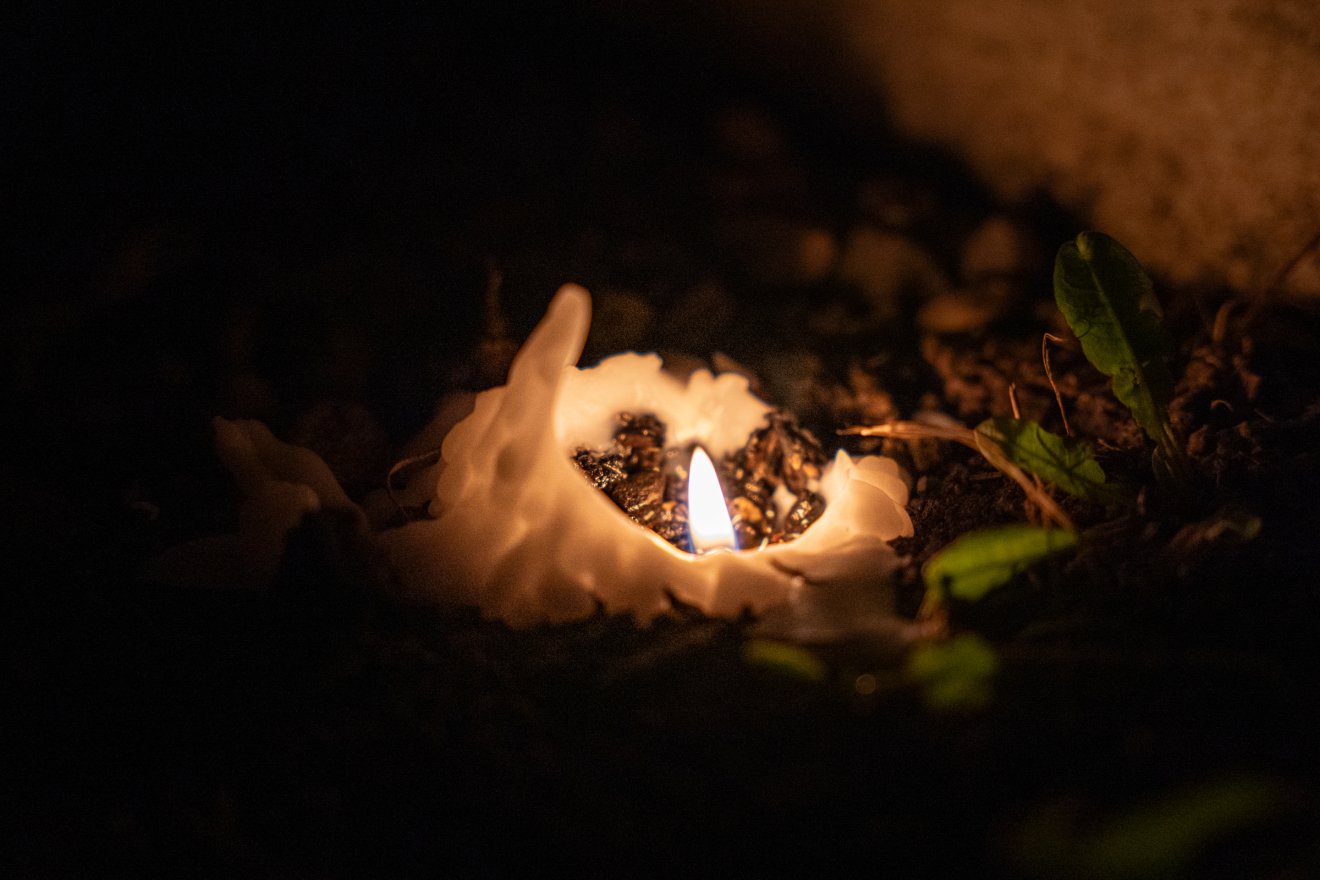 •  Fotó: László Ildikó