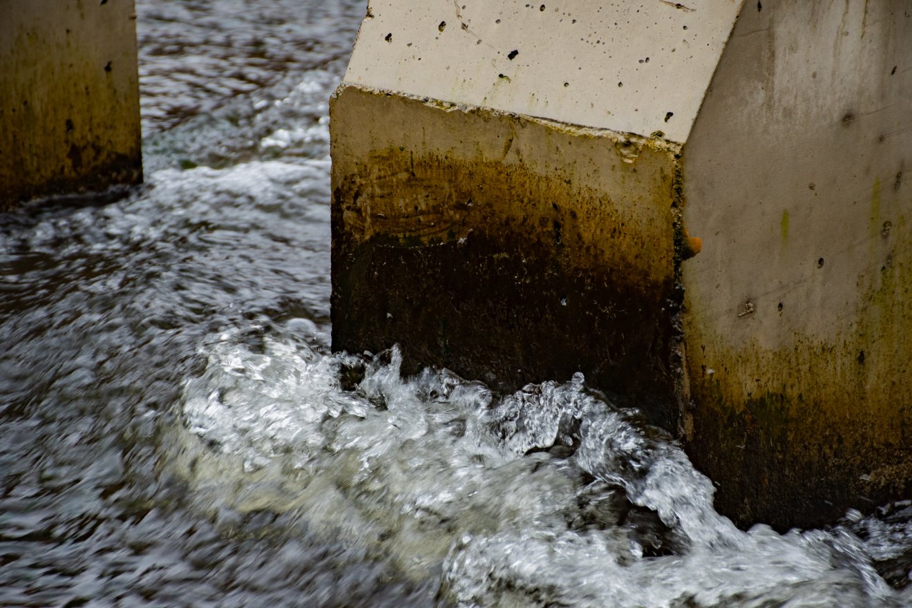 •  Fotó: László Ildikó