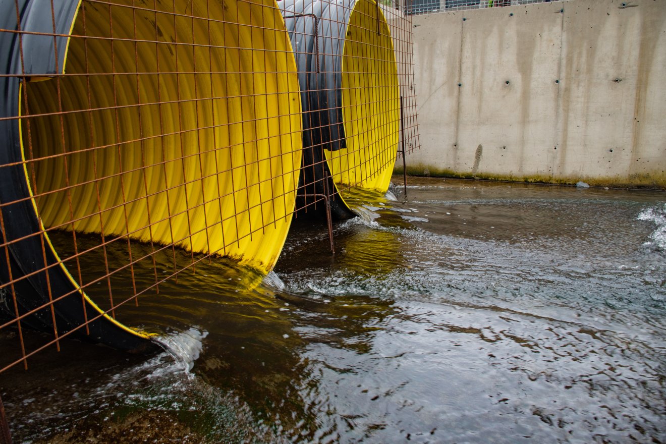 •  Fotó: László Ildikó