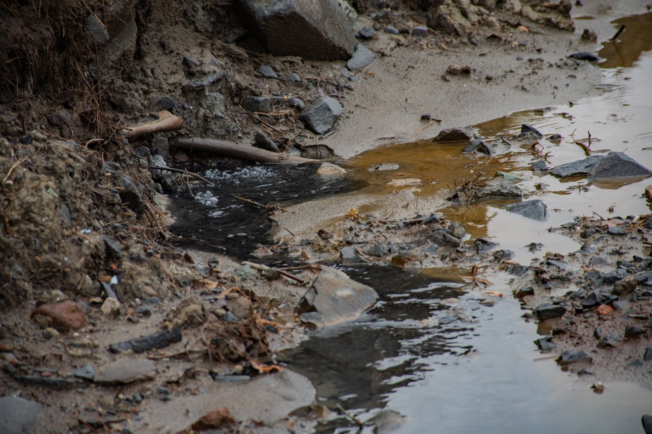 •  Fotó: László Ildikó