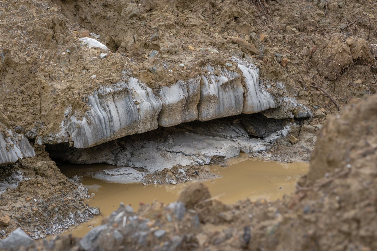 •  Fotó: Pinti Attila