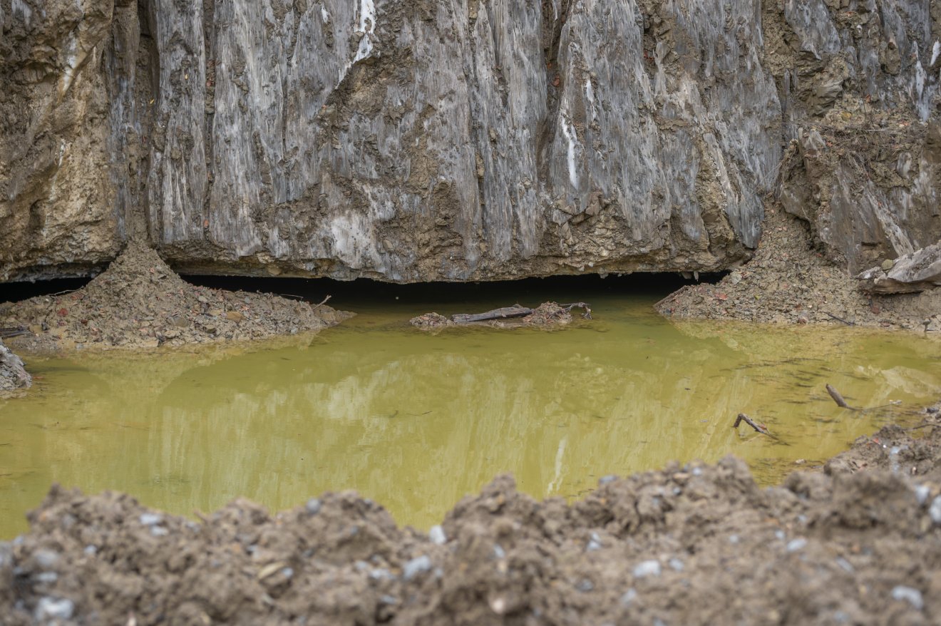 •  Fotó: Pinti Attila