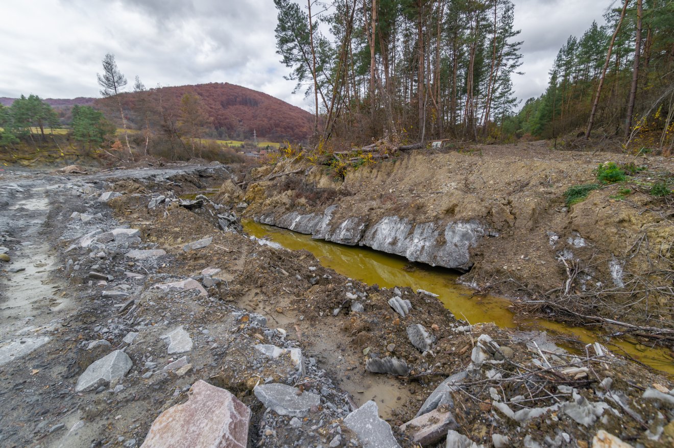 •  Fotó: Pinti Attila