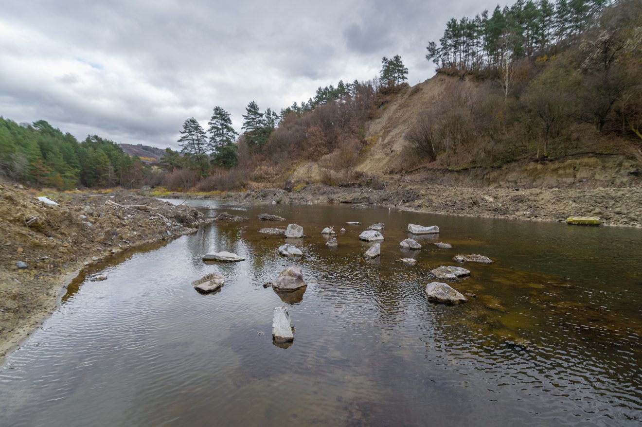 •  Fotó: Pinti Attila