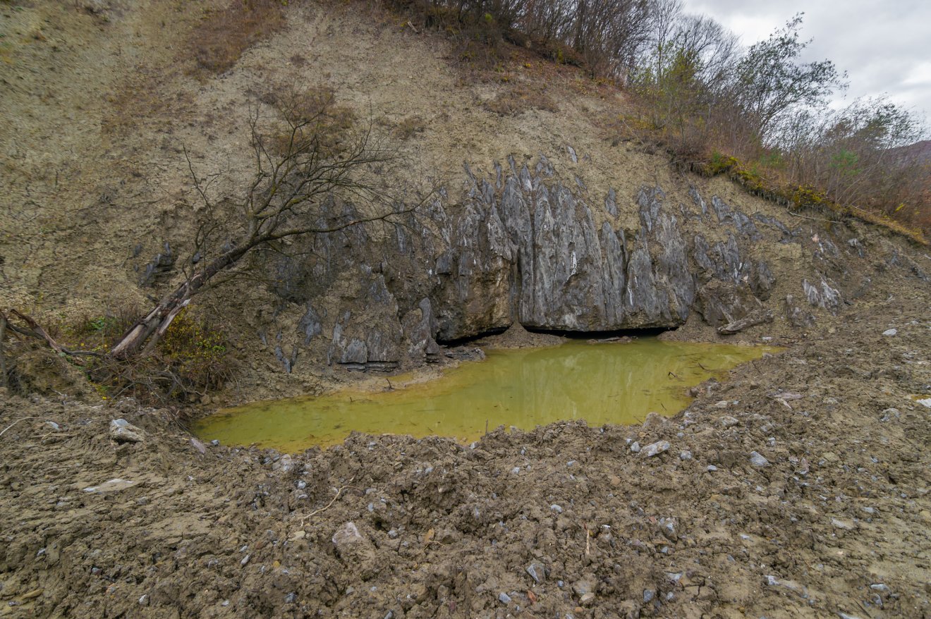 •  Fotó: Pinti Attila