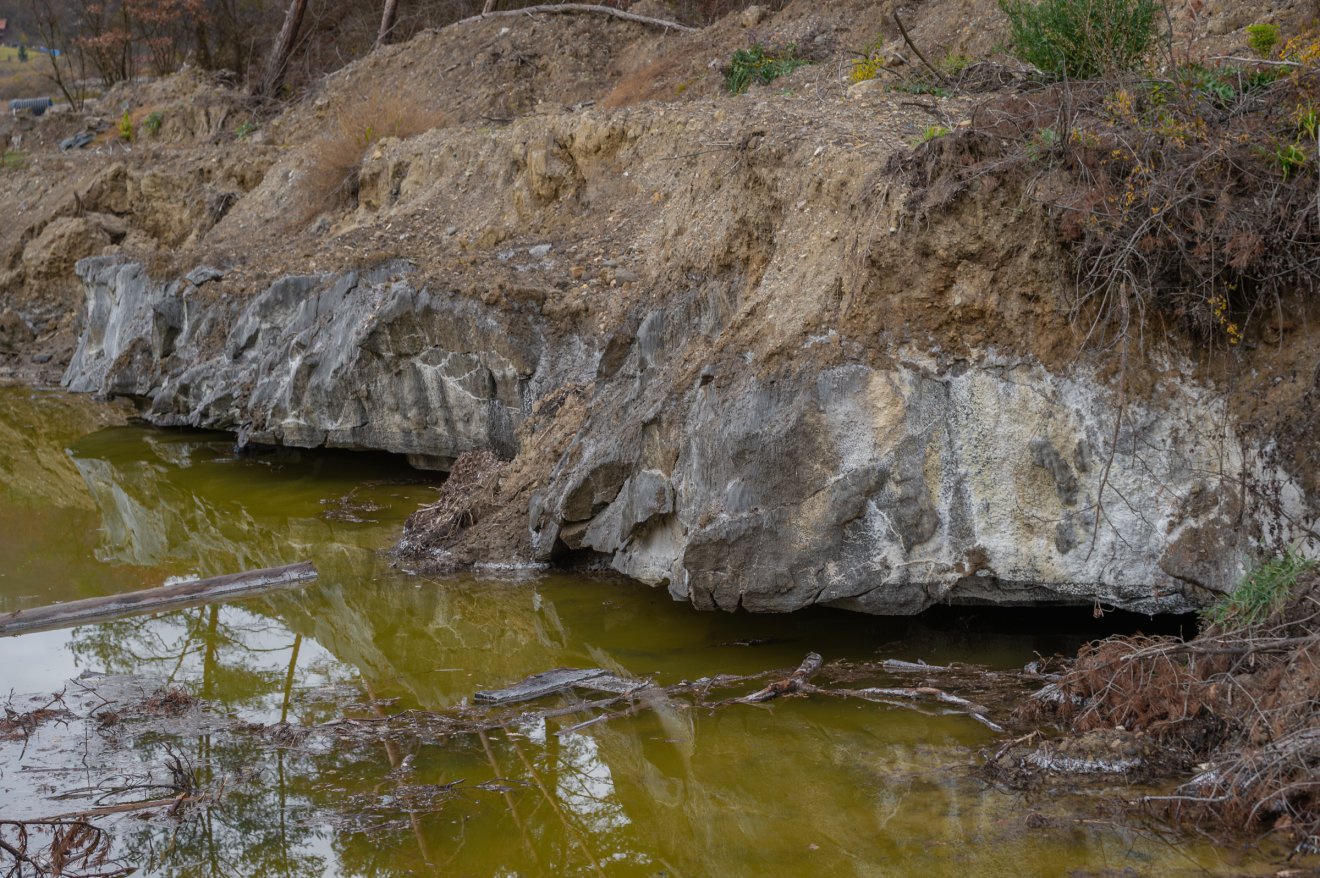 •  Fotó: Pinti Attila