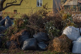 Nem jönnek házhoz érte, ideiglenes lerakóhelyre kell vinni a zöldhulladékot Székelyudvarhelyen