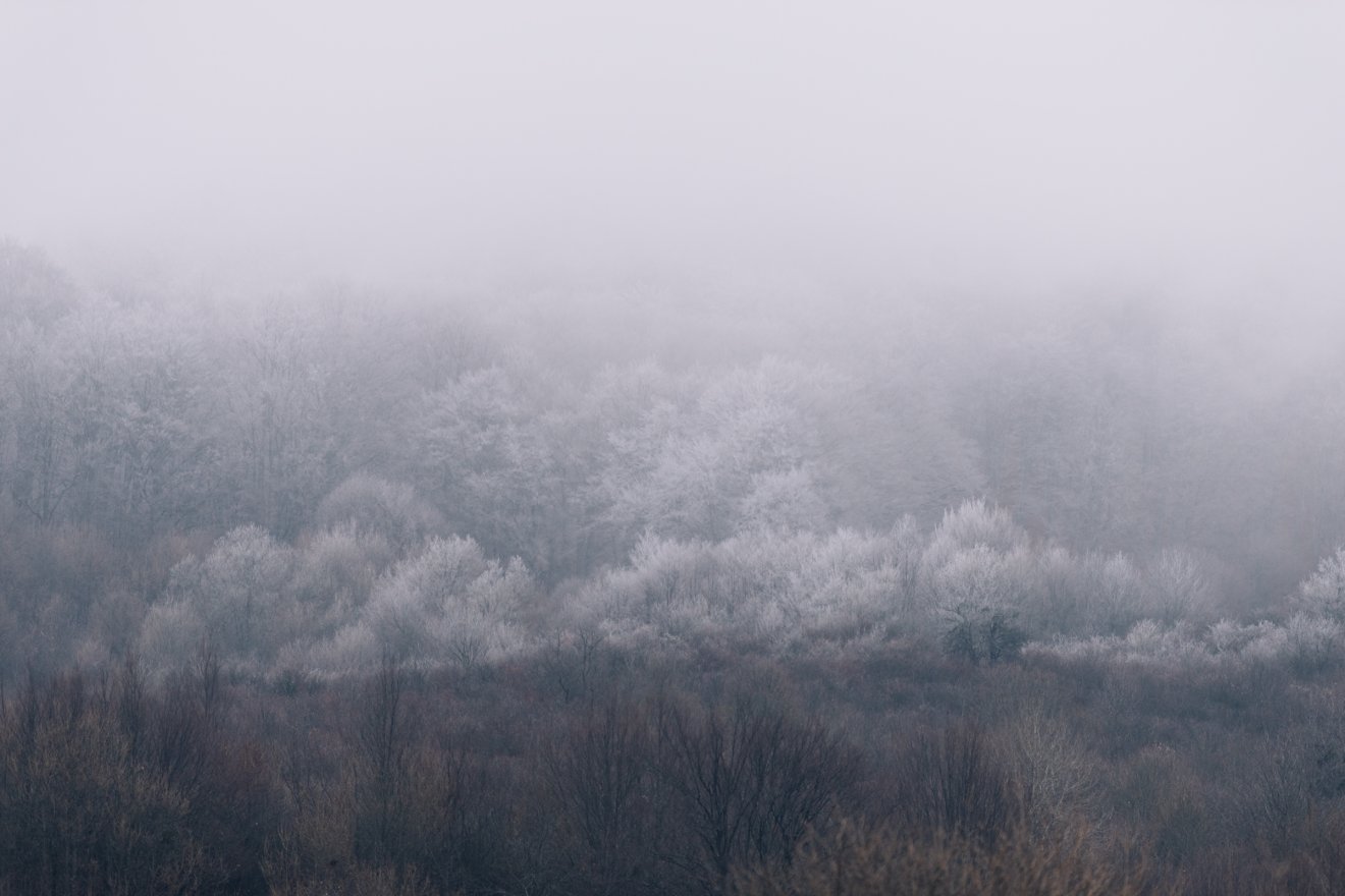 &bullet;  Fotó: Olti Angyalka