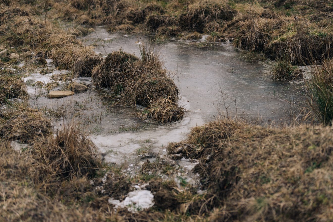 &bullet;  Fotó: Olti Angyalka