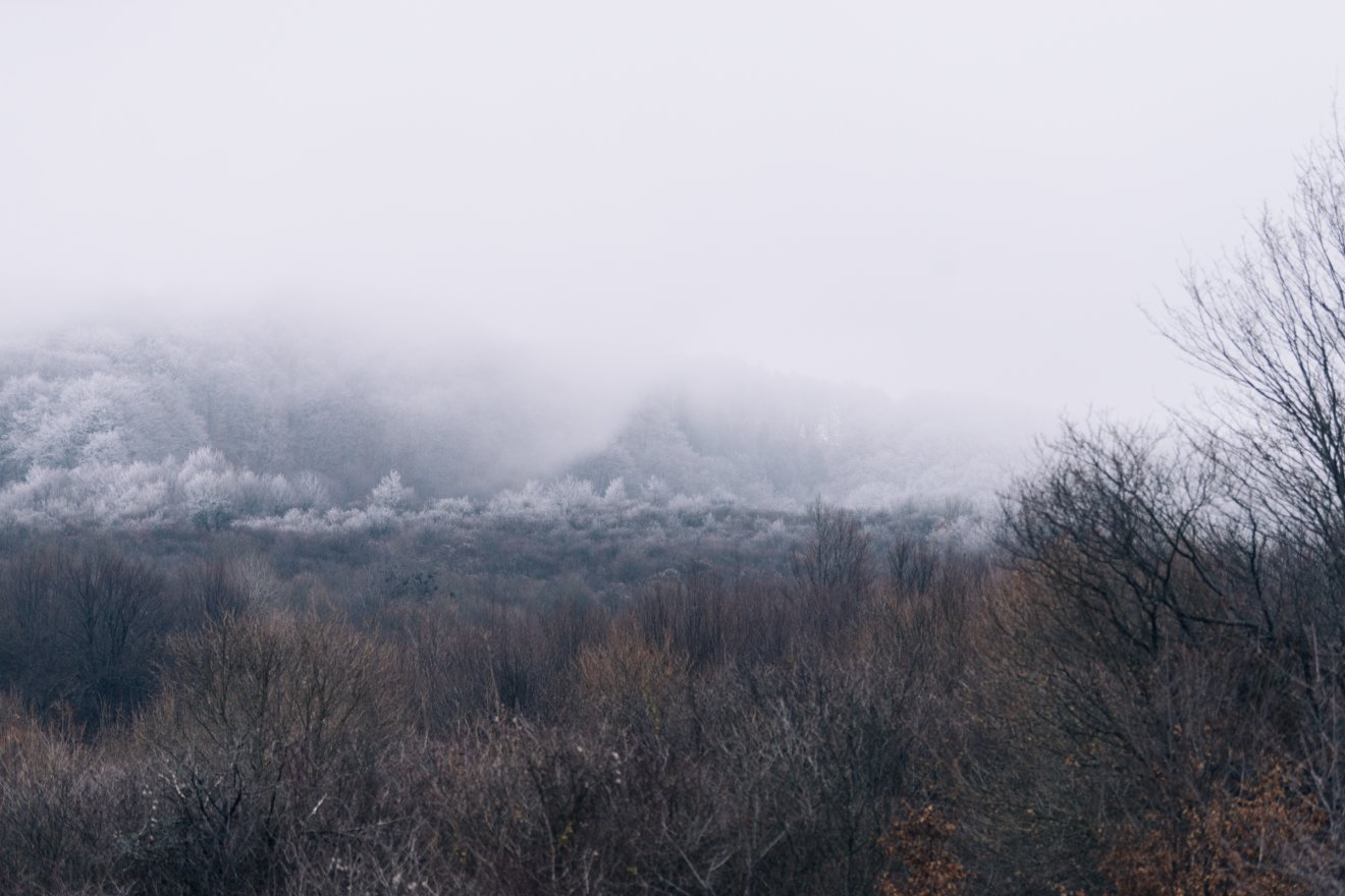 &bullet;  Fotó: Olti Angyalka