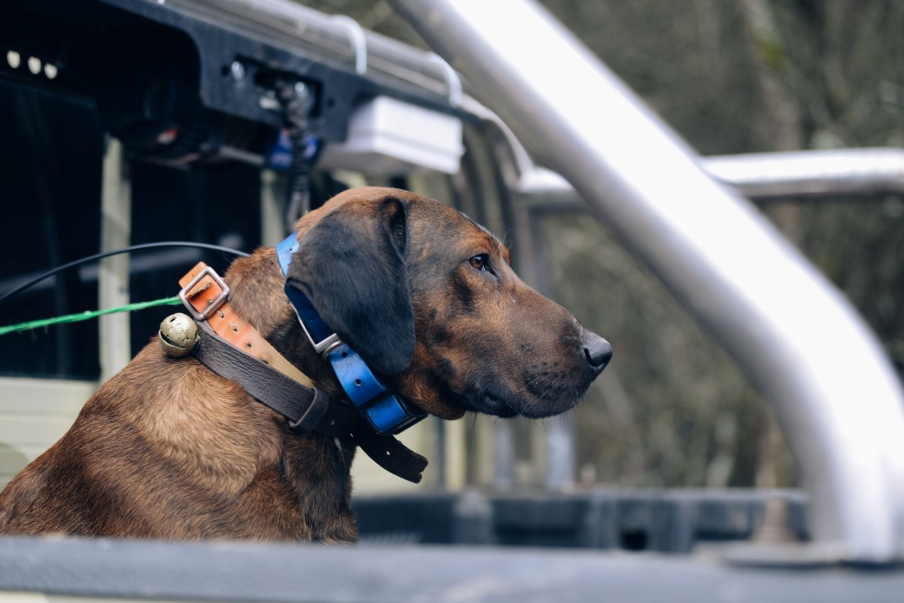 &bullet;  Fotó: Olti Angyalka