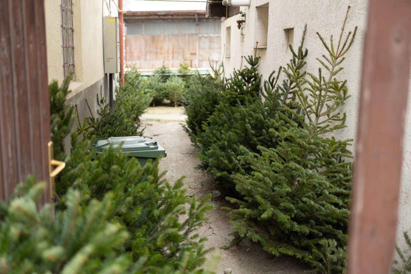 &bullet;  Fotó: Olti Angyalka