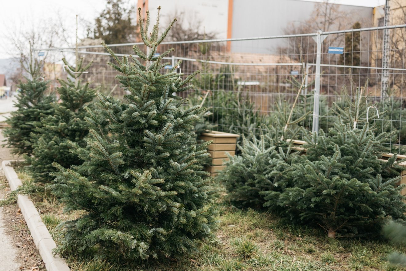 &bullet;  Fotó: Olti Angyalka