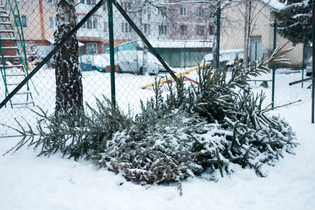 • Fotó: Olti Angyalka