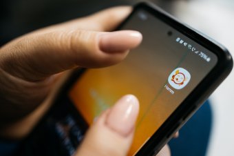 Adománygyűjtő akció a Hammnál