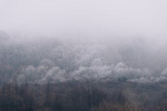 Sűrű köd és csúszós utak miatt adtak ki sárga riasztást Hargita megyében