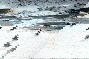 Megérkezett az enyhülés, volt, ahol nem is fagyott az éjszaka