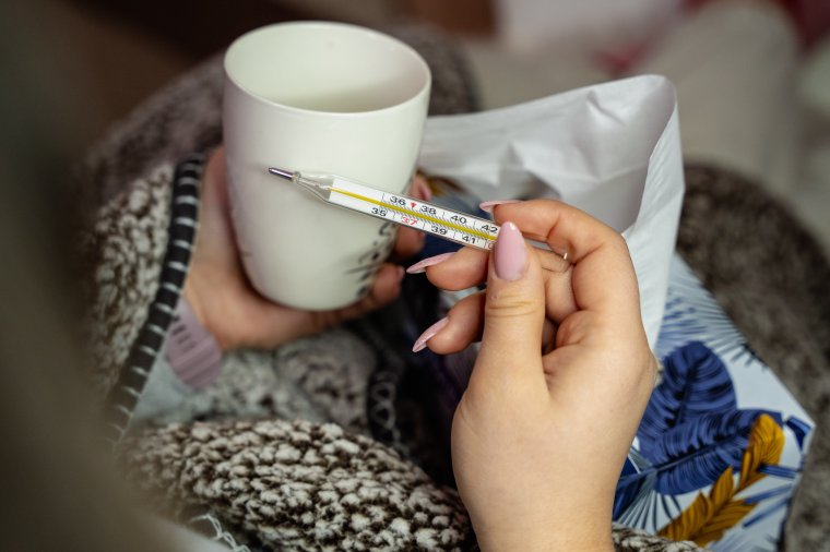 A jövőben nálunk is gyakoribbá válhat a nyugat-nílusi láz