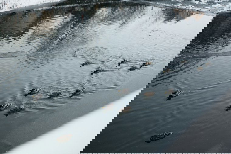 Felmelegedés után újabb lehűlés – ezt tartogatja február első felének időjárása