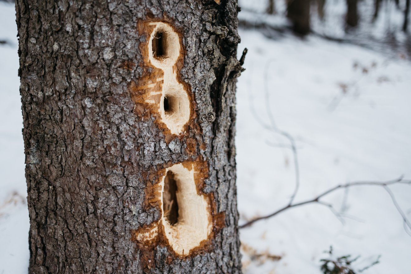 &bullet;  Fotó: Olti Angyalka