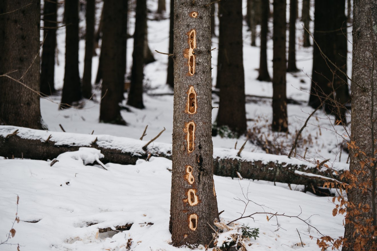 &bullet;  Fotó: Olti Angyalka