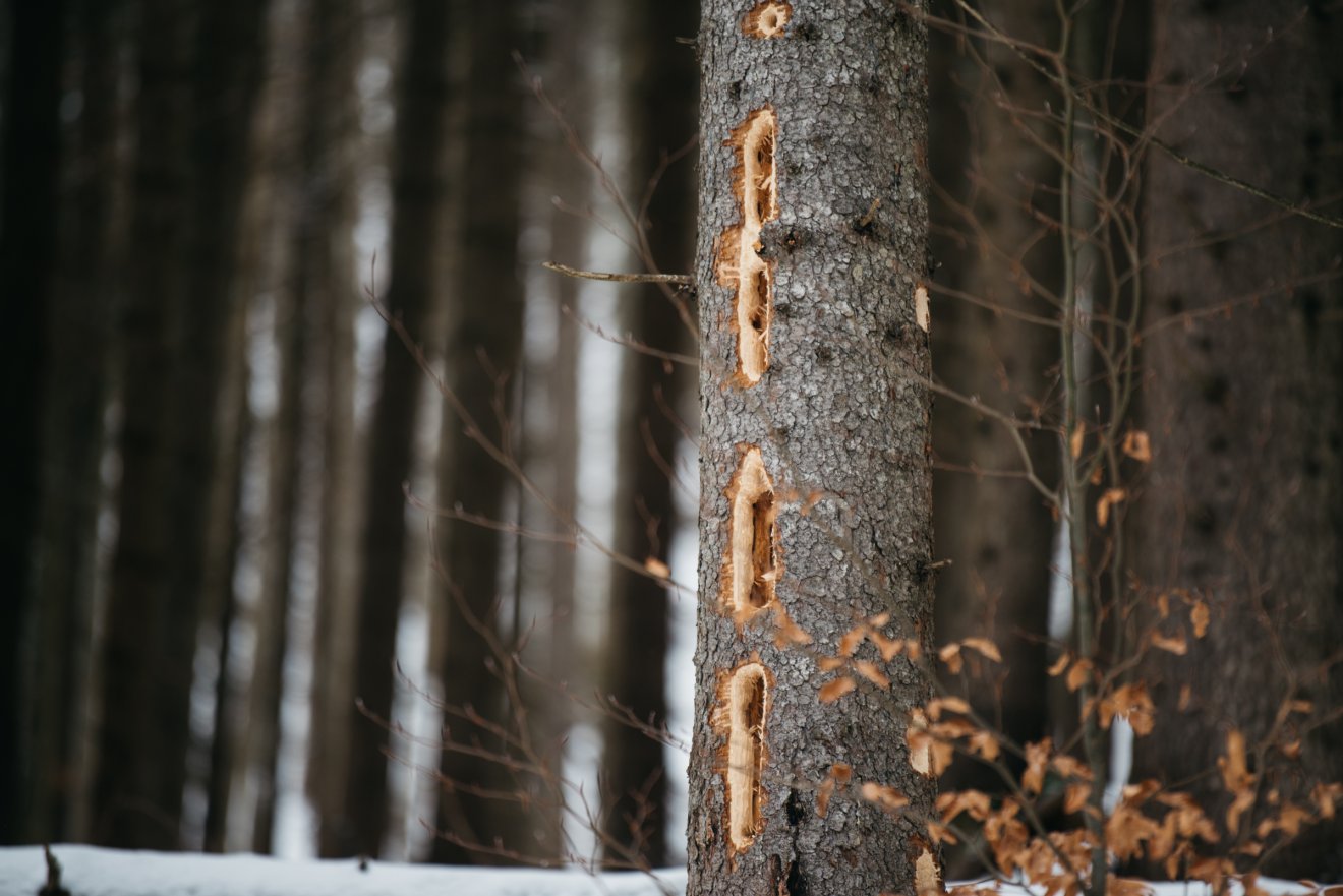 &bullet;  Fotó: Olti Angyalka