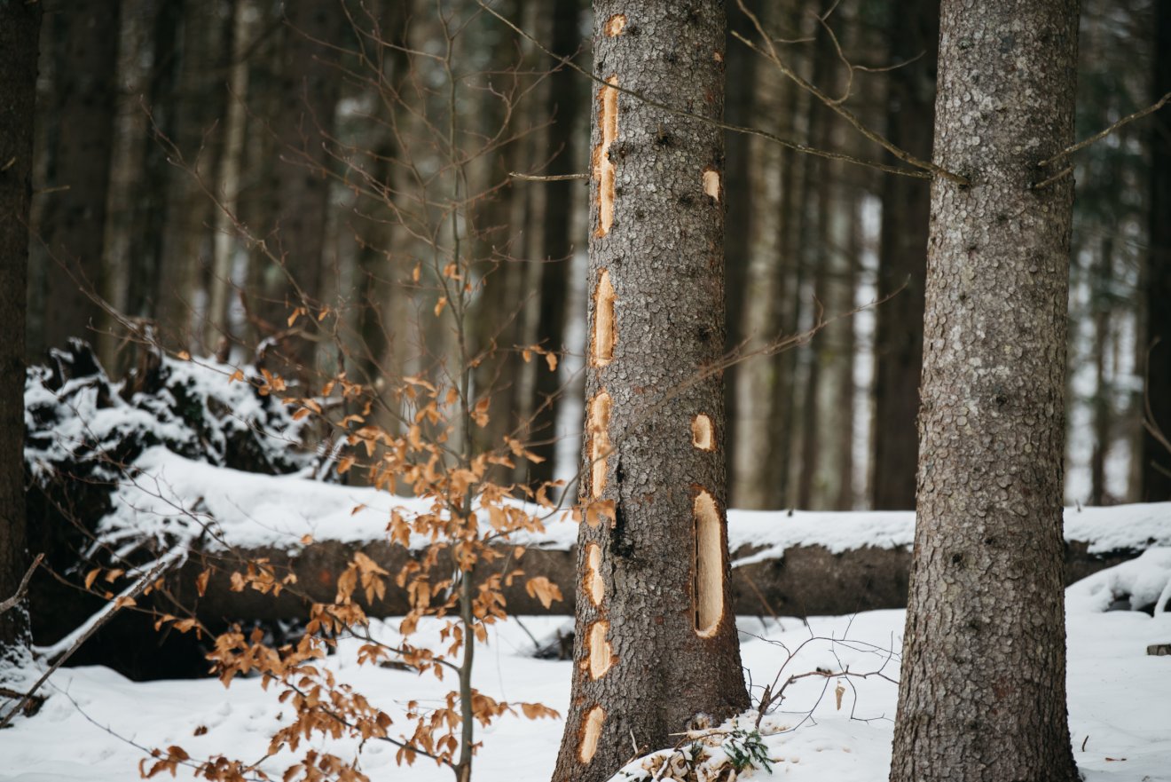 &bullet;  Fotó: Olti Angyalka