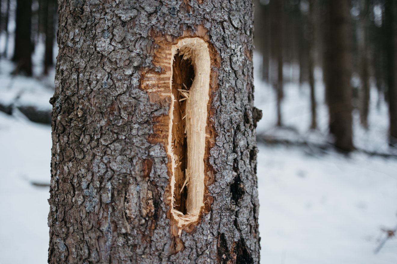 &bullet;  Fotó: Olti Angyalka